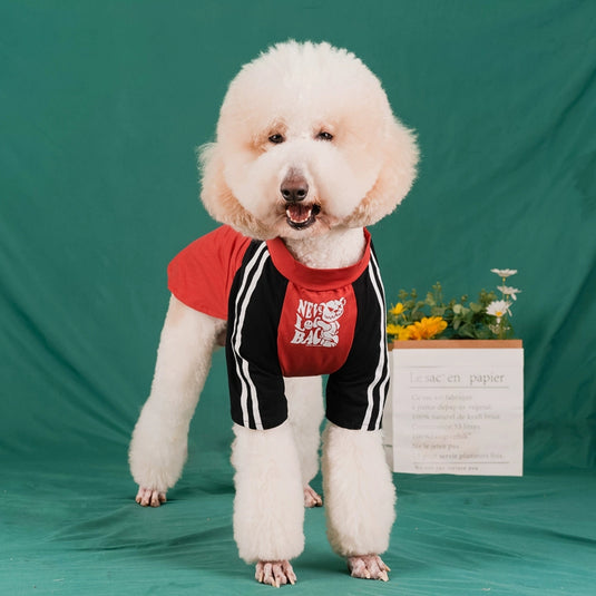 Never Look Back Shirt For Large Dog