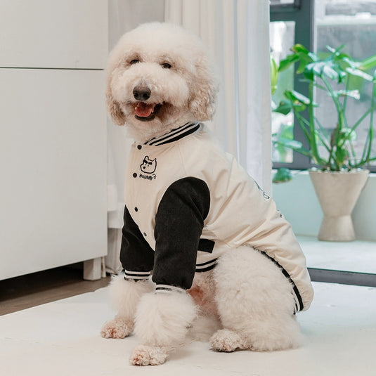 Holiday Jacket For Large Dog