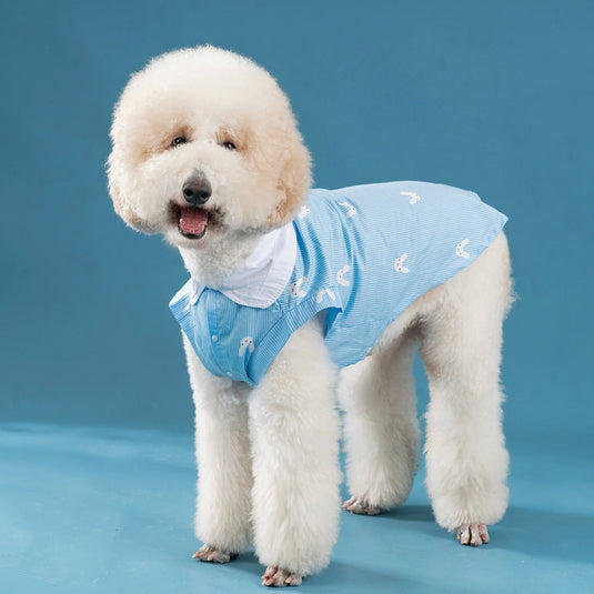 Blue Rabbit Shirt For Large Dog