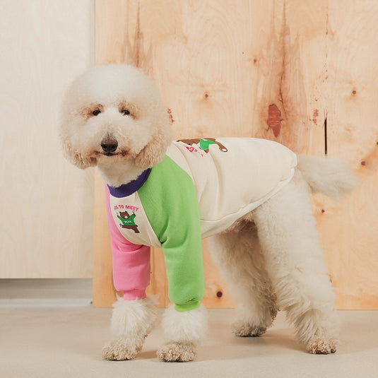 Nice To Meet Bear Sweatshirt For Large Dog