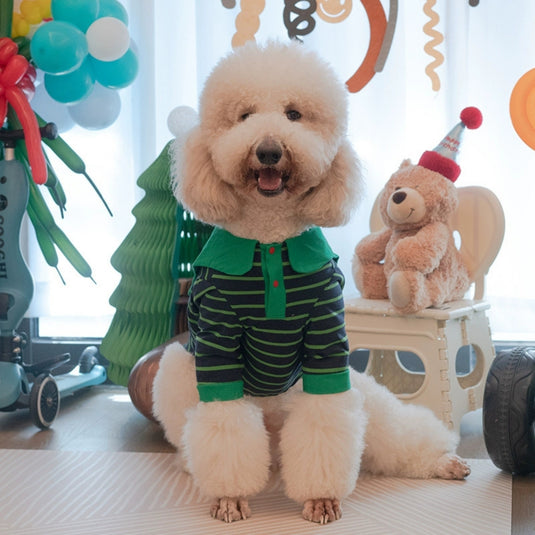 Green Striped Shirt For Large Dog