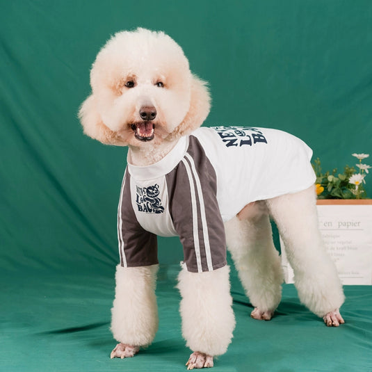 Never Look Back Shirt For Large Dog
