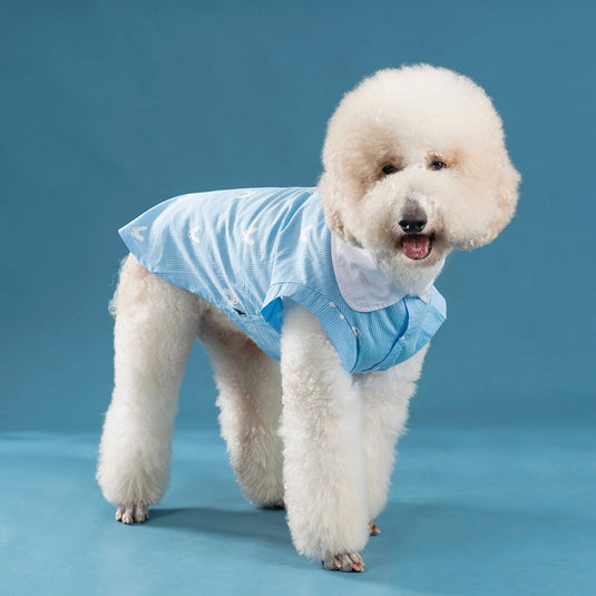 Blue Rabbit Shirt For Large Dog