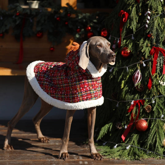 Christmas Cloak for Large Dogs