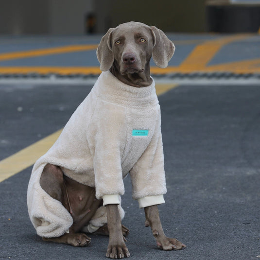 Cozy Plush 4 - Leg Sweatshirt for Large Dog