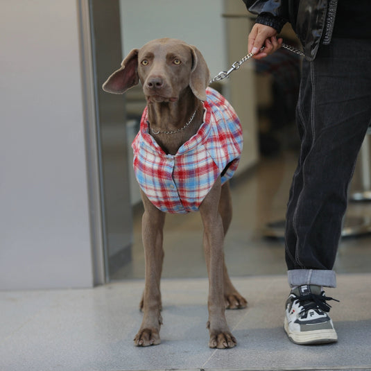 Plaid Vest for Large Dog