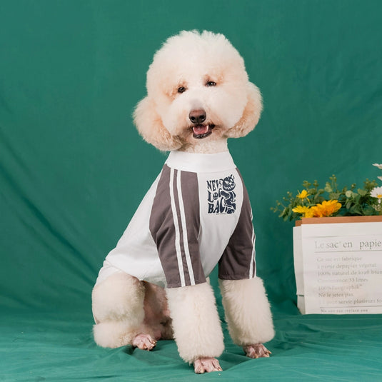 Never Look Back Shirt For Large Dog