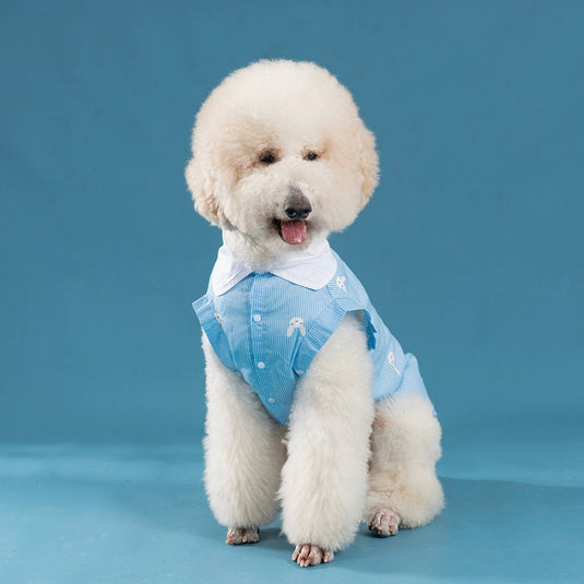 Blue Rabbit Shirt For Large Dog