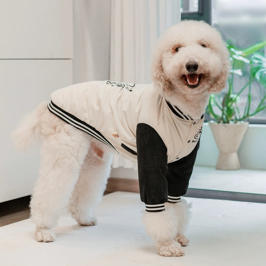 Holiday Jacket For Large Dog