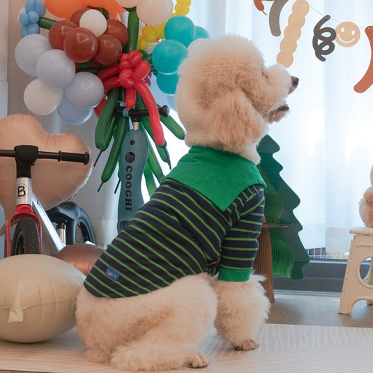 Green Striped Shirt For Large Dog