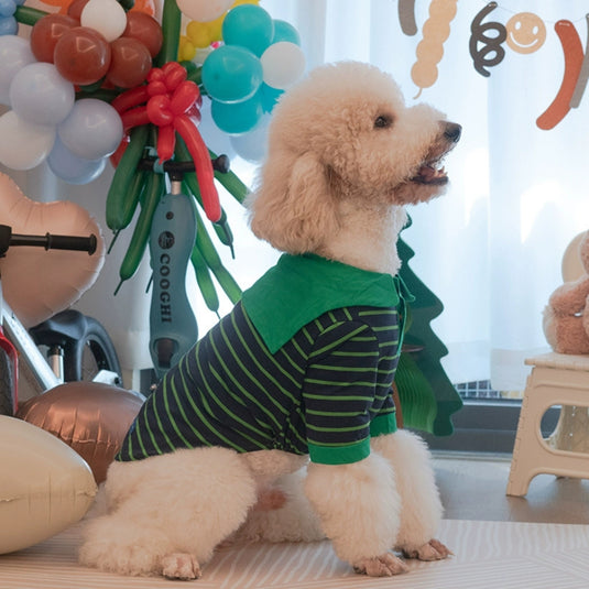 Green Striped Shirt For Large Dog