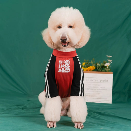 Never Look Back Shirt For Large Dog