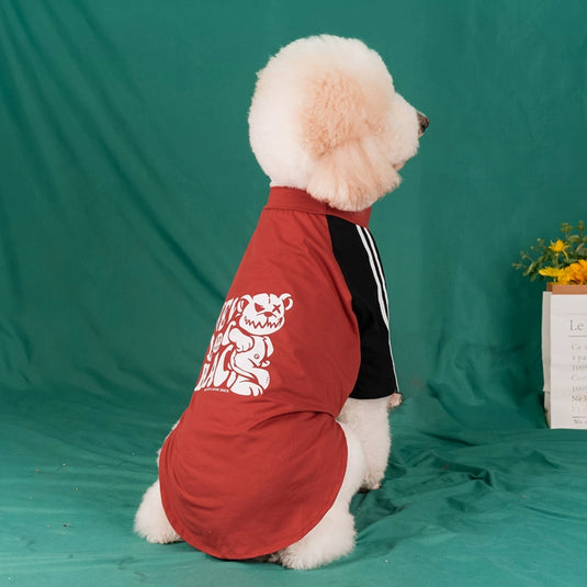 Never Look Back Shirt For Large Dog