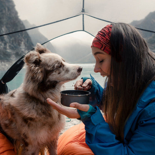 Tips For Go Camping With Your Dog In Winter