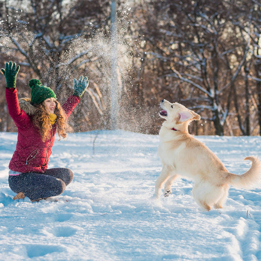 5 Ways to Keep Your Pup Happy and Healthy in Winter