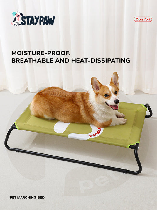 Chew Proof Elevated Dog Bed