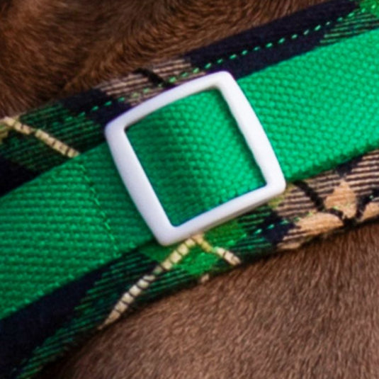 Green Large Dog Harness and Leash