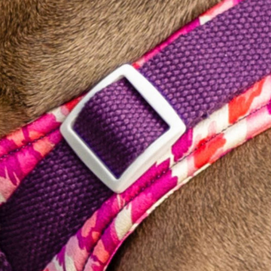 Purple Large Dog Harness and Leash