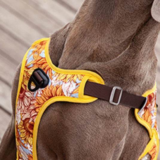 Sunflower Harness for Large Dog