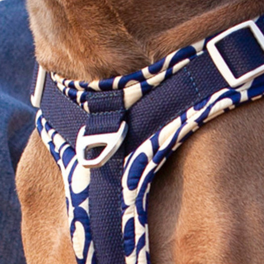 Blue Large Dog Harness and Leash