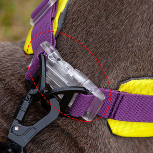 Flower Collar and Leash for Large Dog