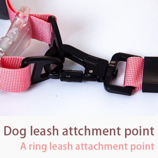 Flower Collar and Leash for Large Dog