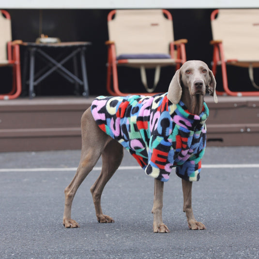 Fluffy Colorful Jacket for Large Dog