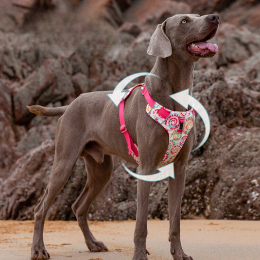 Hippie Harness for Large Dog