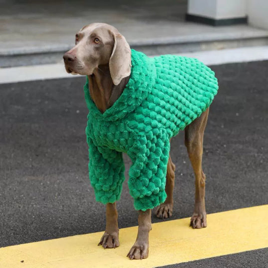 Green Velvet Large Dog Hoodie