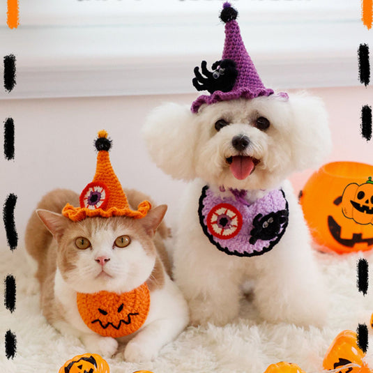 Pumpkin and Spider Halloween Pet Hat Collar