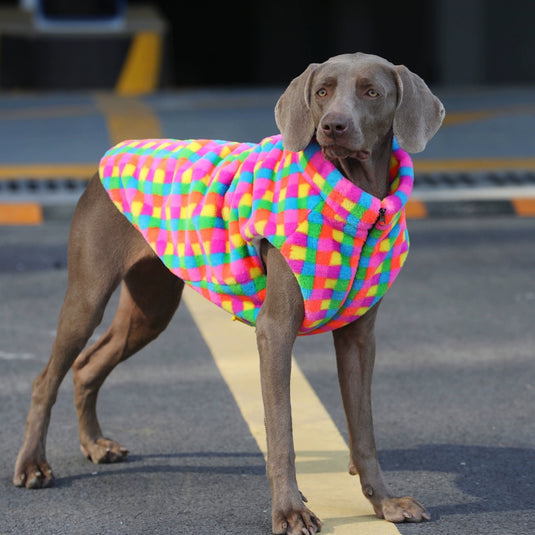 Rainbow Plaid Vest for Large Dog