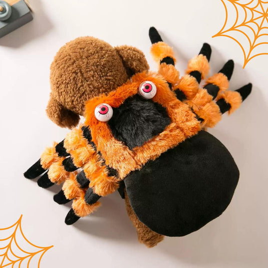 Halloween Spider Costume for Pets