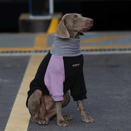 High Neck Sweatshirt for Large Dog