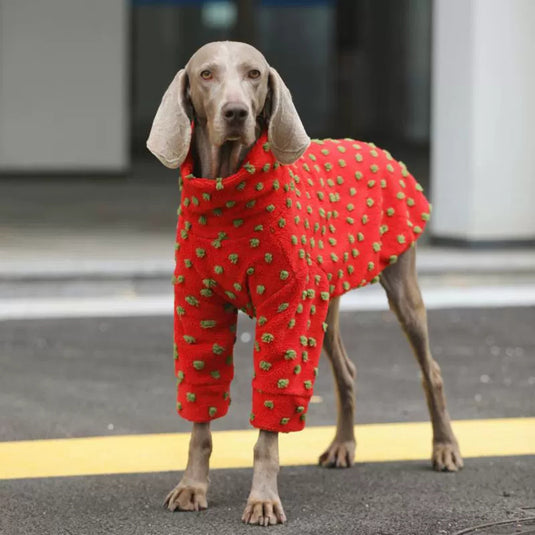 Red Large Dog Sweater