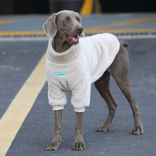 Cozy Plush Sweatshirt for Large Dog