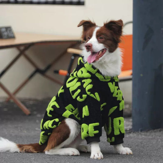 Character Fluffy Large Dog Hoodie