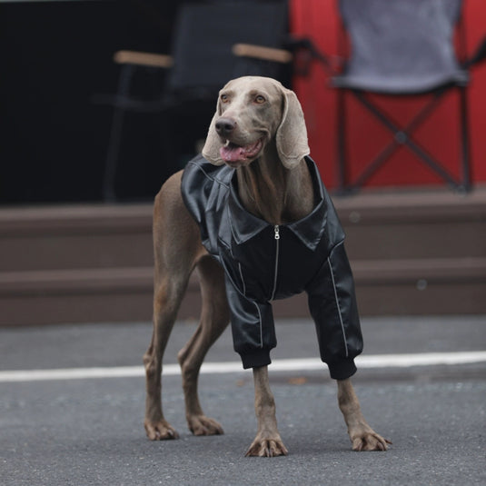 Faux Leather Dog Jacket