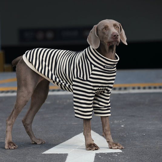 Classic Striped Large Dog Sweater