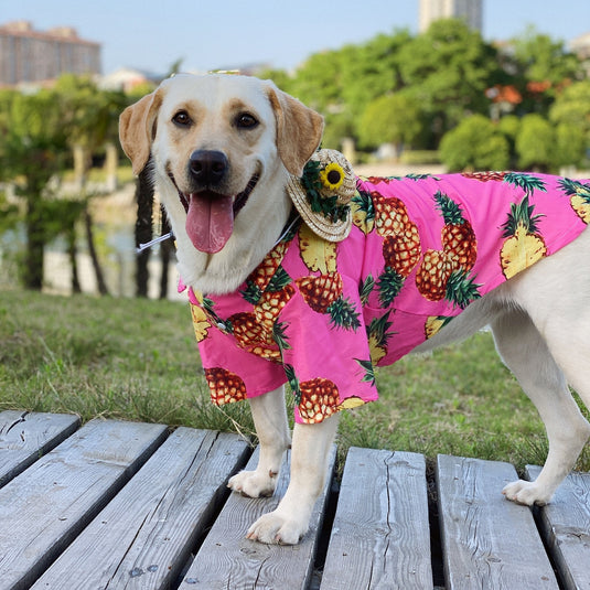 Pineapple Hawaiian Shirt For Large Dog