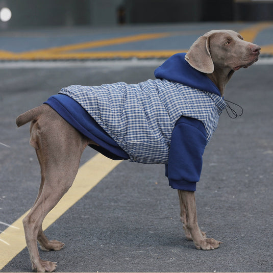 Winter Plaid Vest and Hoodie for Large Dog