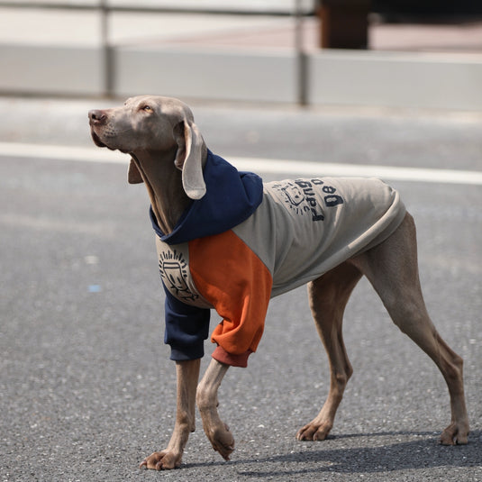 Army Large Dog Hoodie