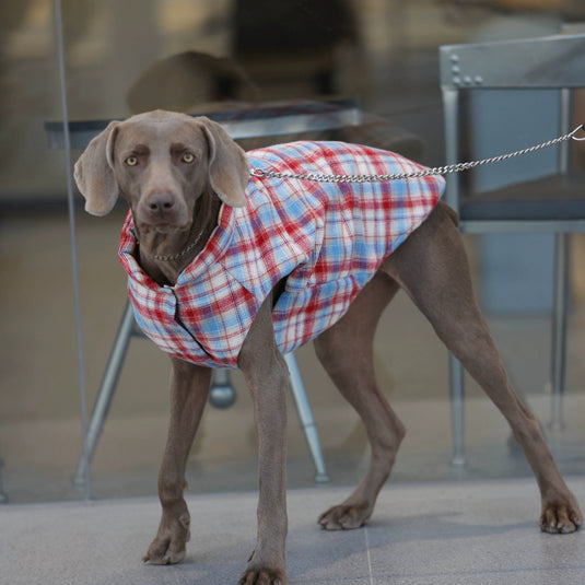 Plaid Vest for Large Dog