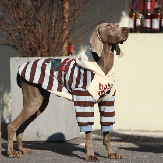 Stripe Baby On Hoodie For Large Dog