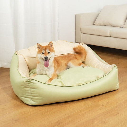 Pastel Green Calming Dog Sofa