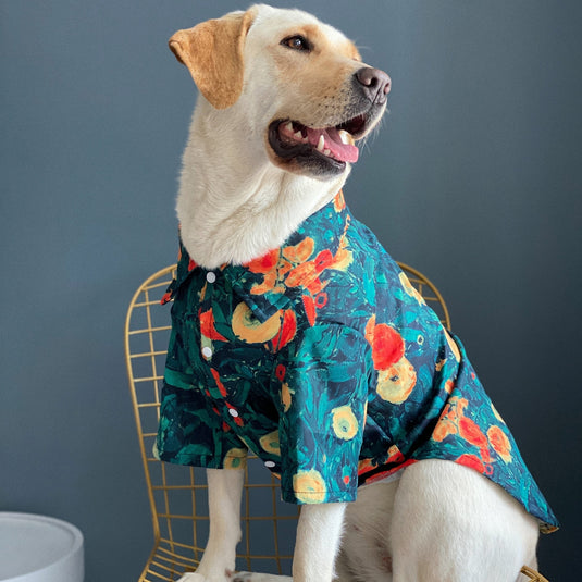 Painting Hawaiian Shirt For Large Dog