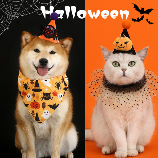 Halloween Pet Hat and Collar