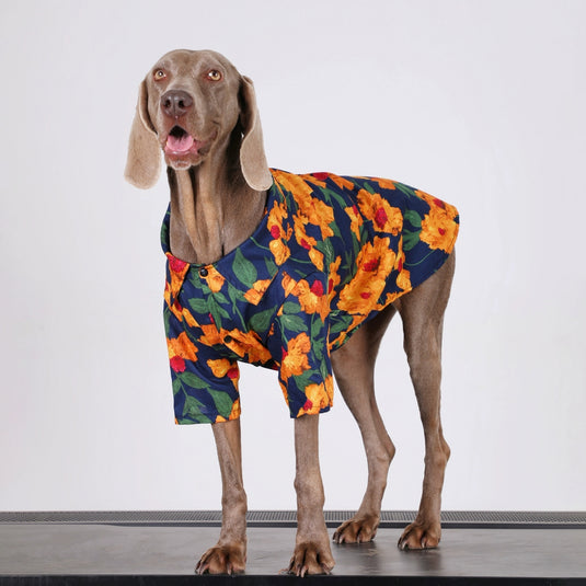 Orange Flower Large Dog Shirt