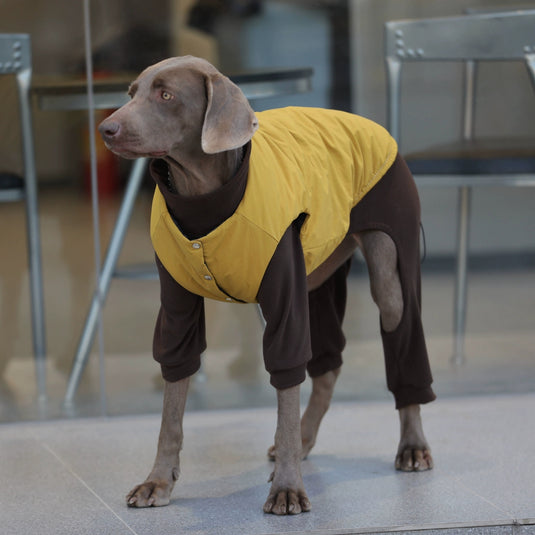 Nice Day Sweater and Yellow Vest For Large Dog