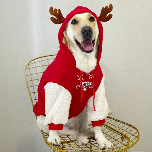 Christmas Reindeer Large Dog Hoodie