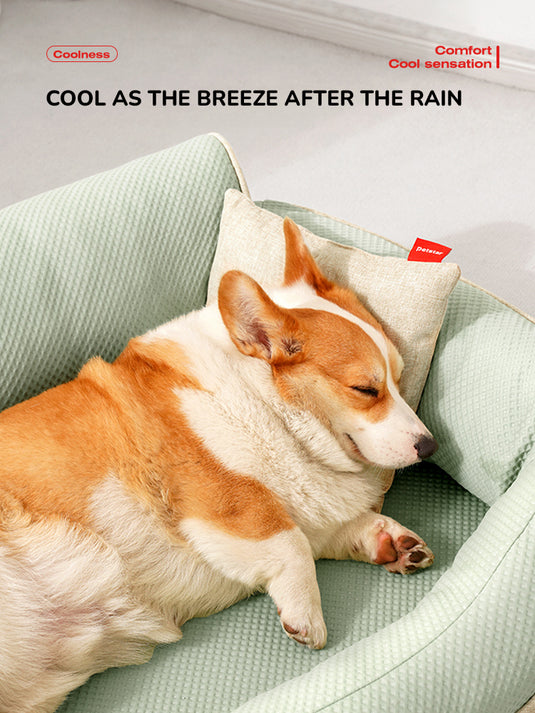 Cooling - Orthopedic Calming Dog Bed for Summer